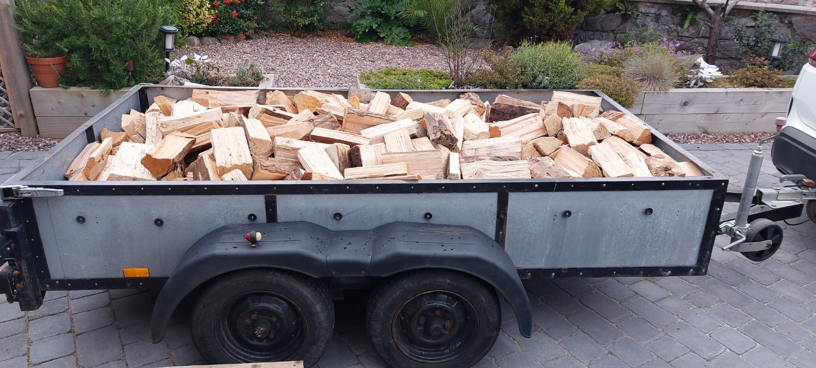 Trailer Of Logs